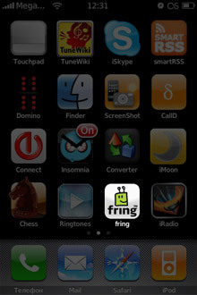 Fring = Skype + icq and others. 