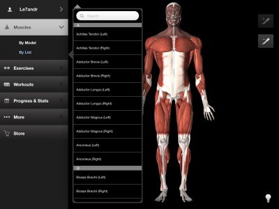IMuscle 2 - Visual Fitness