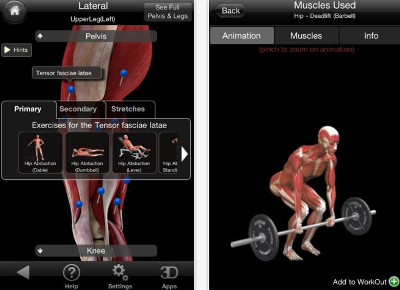 IMuscle: A Visual Fitness User Guide iPhone