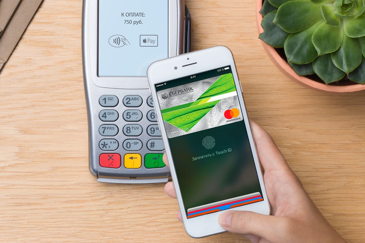 How to set up NFC to pay with a Sberbank card?  How to connect NFC for payments? 