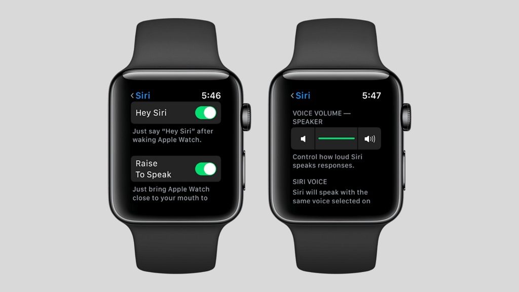how to enable siri on apple watch 