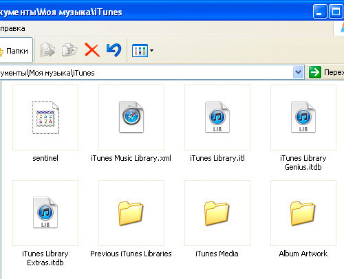 How to Transfer iTunes Library to Another Computer 