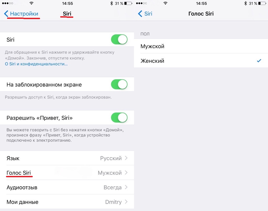 Поменяй голос на мужской. Голос сири. Настроить голос сири. Изменить голос сири на айфон. Как поменять голос на айфоне.