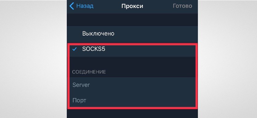How to set up a proxy in Telegram to iPhone 