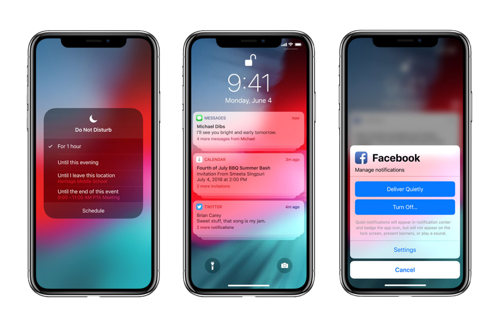 chips IOS 12: manage notifications 