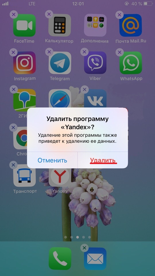 Yandex alice voice download 